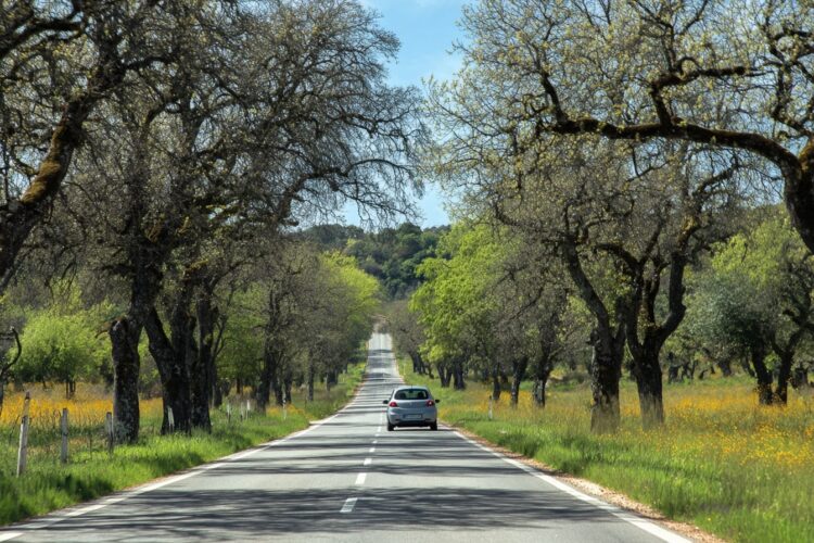Portugal no TOP10 dos países europeus onde é mais fácil conduzir