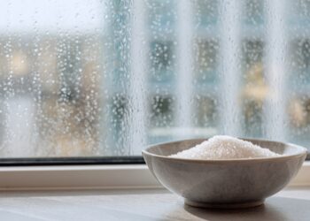 Humidade em excesso? O método económico que pode ajudar