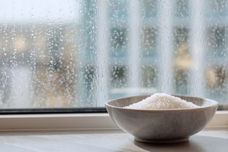 Humidade em excesso? O método económico que pode ajudar