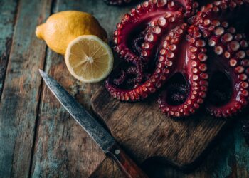 Dicas de chef para fazer polvo congelado tenro e macio