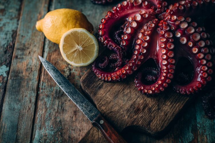 Dicas de chef para fazer polvo congelado tenro e macio