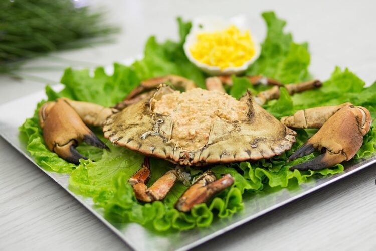 Truques e segredos para fazer a sapateira recheada perfeita