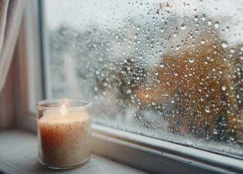 Condensação nas janelas? Porque é que acontece e como evitar de forma eficaz