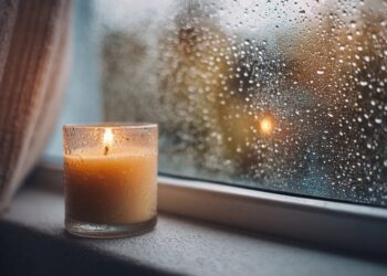 Condensação nas janelas? Saiba como evitá-la com estes métodos simples