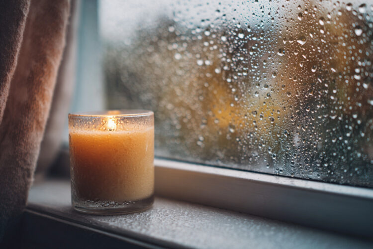 Como secar a casa depois da chuva e eliminar o cheiro a mofo e humidade