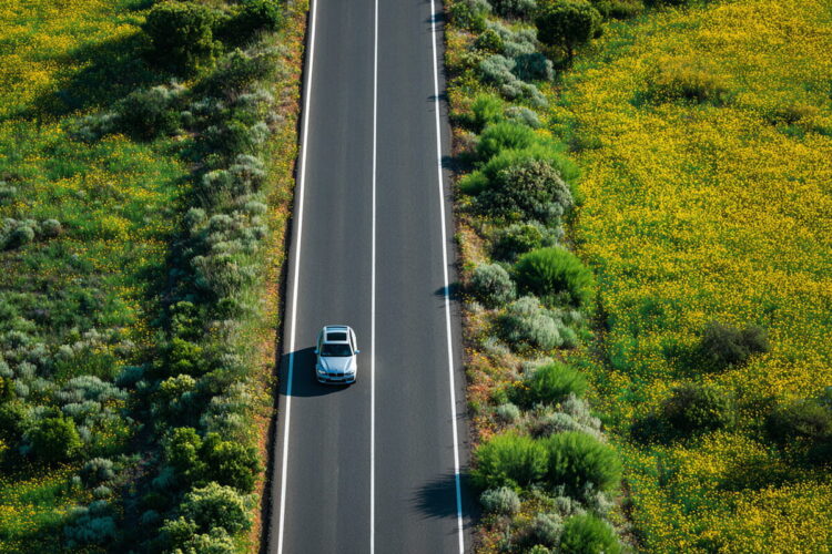 Imposto Único de Circulação: quem pode estar isento e em que situações