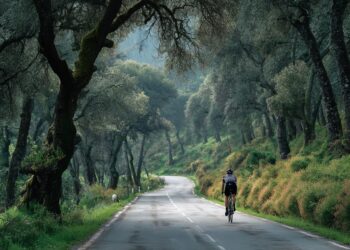 Ultrapassar ciclistas: as regras do Código da Estrada que todos os condutores devem conhecer