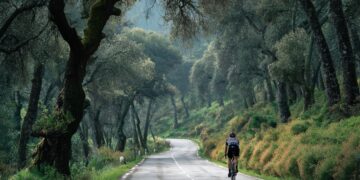 Ultrapassar ciclistas: as regras do Código da Estrada que todos os condutores devem conhecer