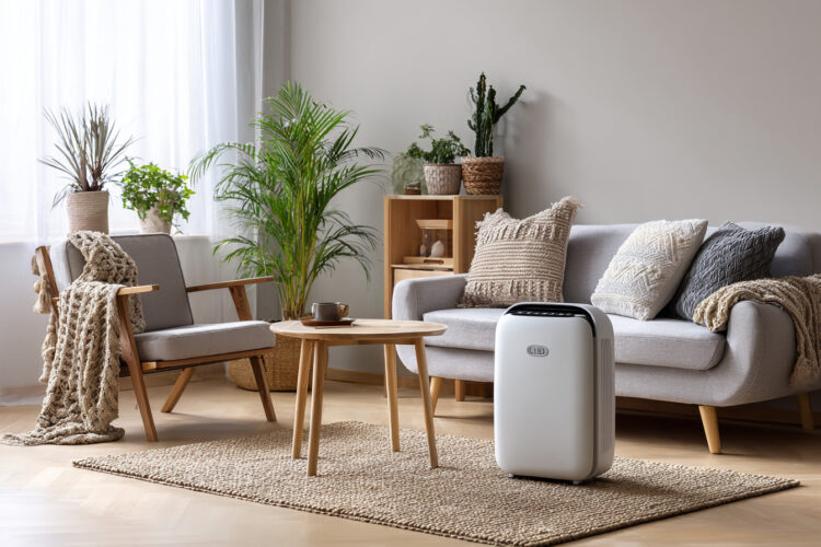 Bolor em casa: desumidificador ou ar condicionado, qual resulta melhor?