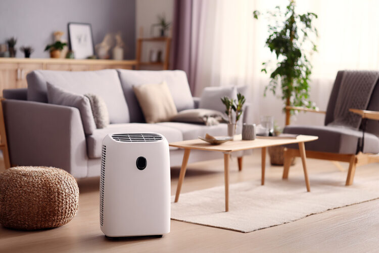 Onde colocar o desumidificador para retirar mais humidade e gastar menos