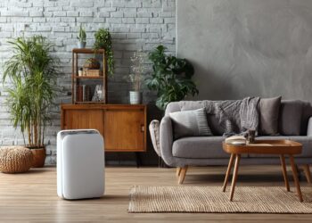 Humidade em casa: quando o desumidificador deixa de compensar