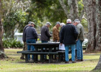 Apoios para pensionistas: o que existe para complementar a pensão em Portugal