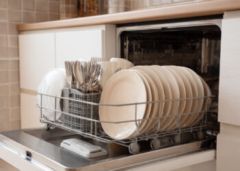 Máquina de lavar loiça com mau cheiro? Onde está a sujidade e como eliminá-la