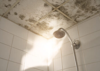 Lixívia ou água oxigenada? O método mais eficaz para eliminar bolor da casa de banho