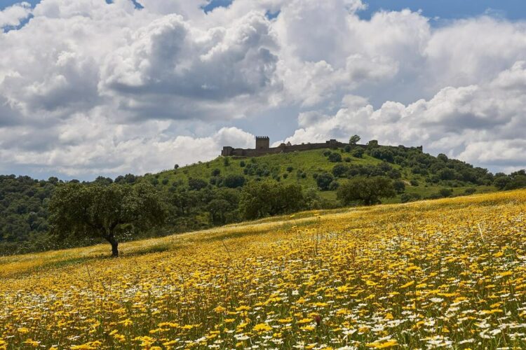 Castelo de Noudar: um castelo quase secreto para descobrir no Alentejo