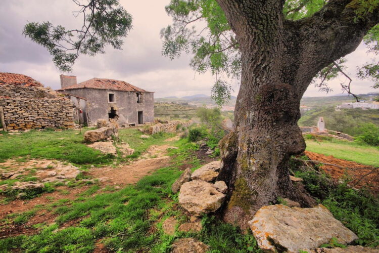 Broas: uma aldeia fantasma para descobrir bem perto de Lisboa