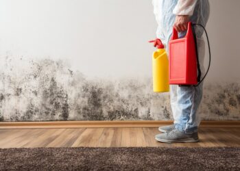 Mofo nas paredes: como eliminar corretamente e evitar que volte