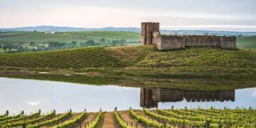 Castelo de Valongo: esquecido, abandonado e em ruínas no Alentejo