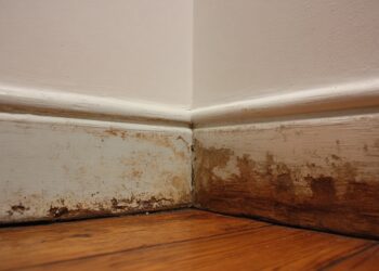 Humidade ascendente: como tratar as infiltrações que vêm do solo e atacam o rodapé