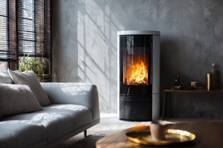 Pellets ou lenha: qual é a opção mais económica e eficiente para aquecer a casa?