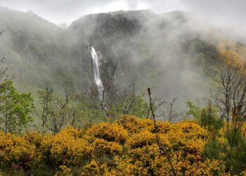Frecha da Mizarela: é a cascata mais alta de Portugal e fica na Serra da Freita