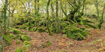 Aldeia Velha do Juriz: uma aldeia medieval abandonada no coração do Gerês