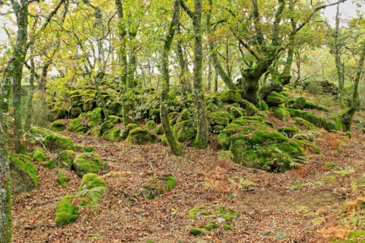 Aldeia Velha do Juriz: uma aldeia medieval abandonada no coração do Gerês
