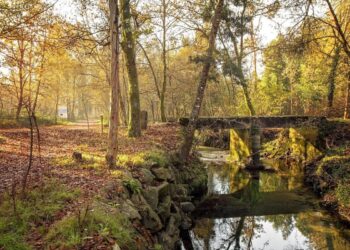 Lagoas de Bertiandos: um dos locais mais bonitos do Minho