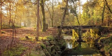 Lagoas de Bertiandos: um dos locais mais bonitos do Minho