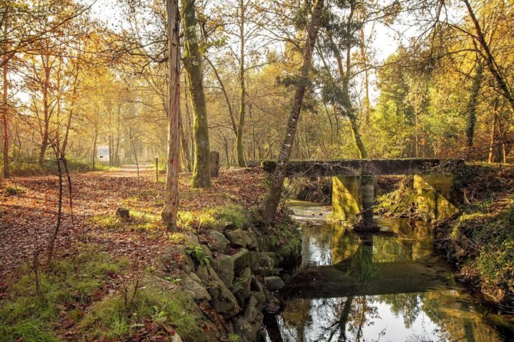 Lagoas de Bertiandos: um dos locais mais bonitos do Minho