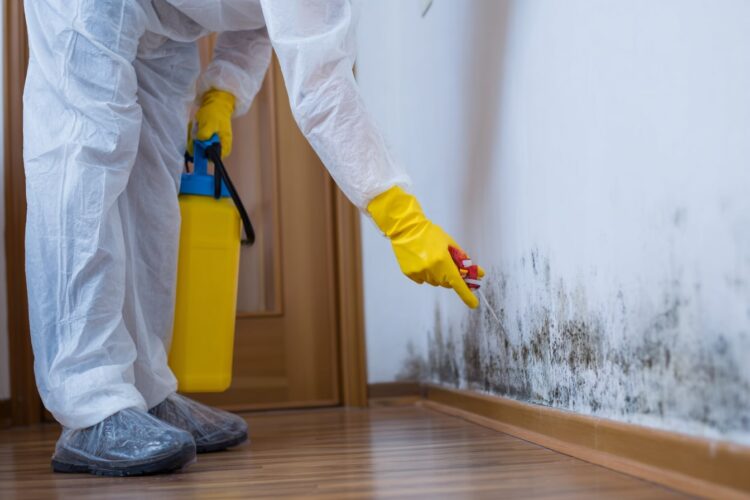 Humidade invisível nas paredes: os alertas que não deve ignorar