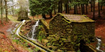 Os moinhos que D. Dinis mandou construir ainda hoje moem