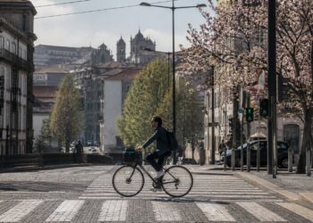 Pode atravessar a passadeira de bicicleta? O que diz a lei - e o que muitos ciclistas não sabem