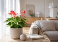 5 plantas de interior que florescem o ano todo (e transformam a sua casa)