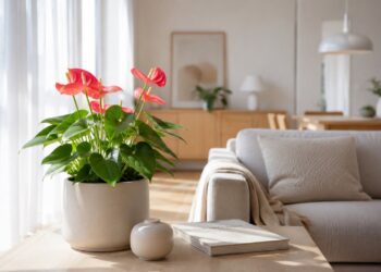 5 plantas de interior que florescem o ano todo (e transformam a sua casa)