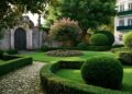 7 arbustos de crescimento rápido para ganhar privacidade no jardim ou na varanda