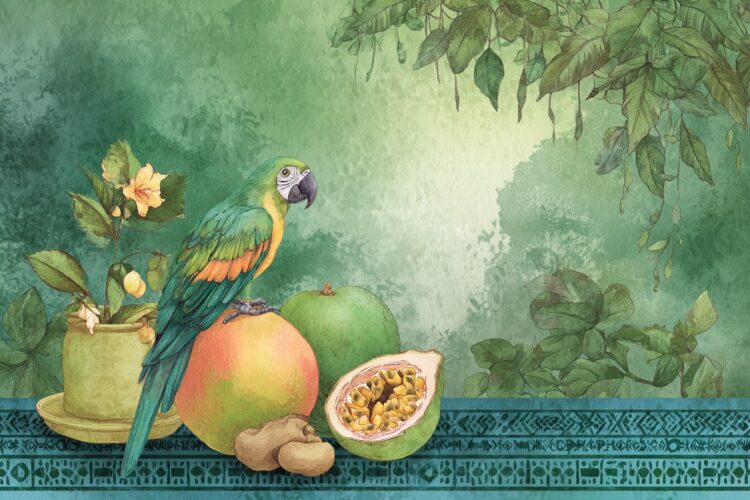 12 palavras da língua portuguesa com origem brasileira
