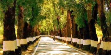 Provavelmente, a estrada mais bonita do Alentejo