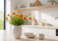 5 plantas com flores comestíveis que vai querer ter em casa