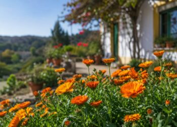 5 plantas que se reproduzem sozinhas e enchem o jardim de cor sem esforço