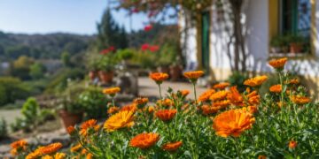 5 plantas que se reproduzem sozinhas e enchem o jardim de cor sem esforço