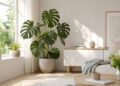 7 dicas essenciais para cuidar das plantas de interior