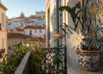 Flores que desabrocham à noite e perfumam a casa: as mais bonitas e como cuidar delas
