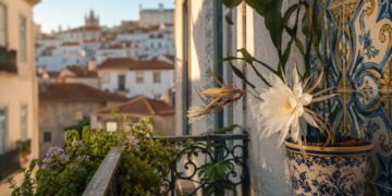 Flores que desabrocham à noite e perfumam a casa: as mais bonitas e como cuidar delas