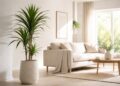 As 10 plantas de interior mais resistentes (e quase impossíveis de destruir)