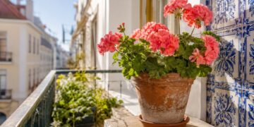 Flores para quem esquece de regar: as melhores plantas resistentes para varandas e jardins