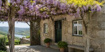 5 plantas trepadeiras com flor para encher o terraço ou jardim de cor