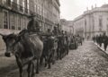 Lisboa em 1925: quando 500 bois bravos marcharam pelas ruas da capital