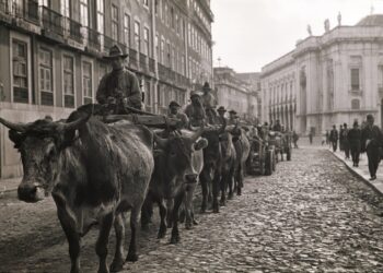 Lisboa em 1925: quando 500 bois bravos marcharam pelas ruas da capital