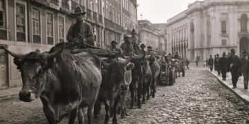Lisboa em 1925: quando 500 bois bravos marcharam pelas ruas da capital